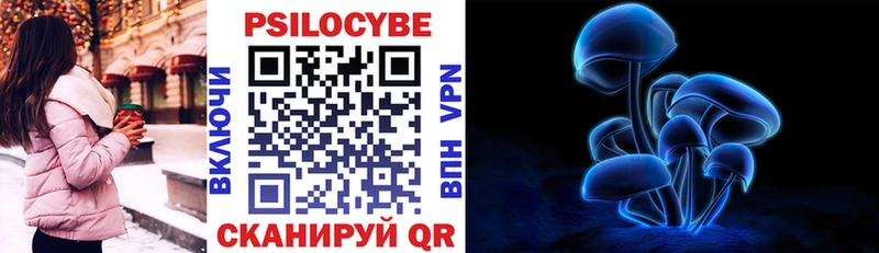 Псилоцибиновые грибы Psilocybine cubensis  купить   KRAKEN как зайти  Курчалой 