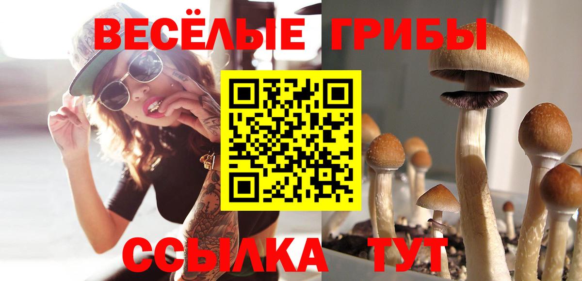 Псилоцибиновые грибы мицелий  Вход с VPN  Курчалой 